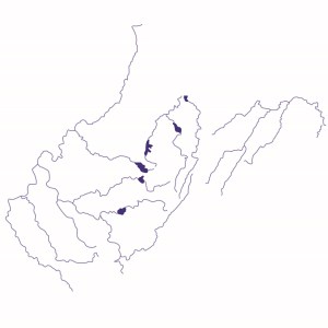 WV WaterSketch-01-01 reduced